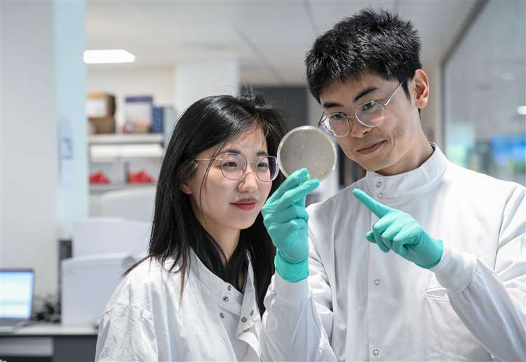 Civia Chen and Yizhou Yu in the lab