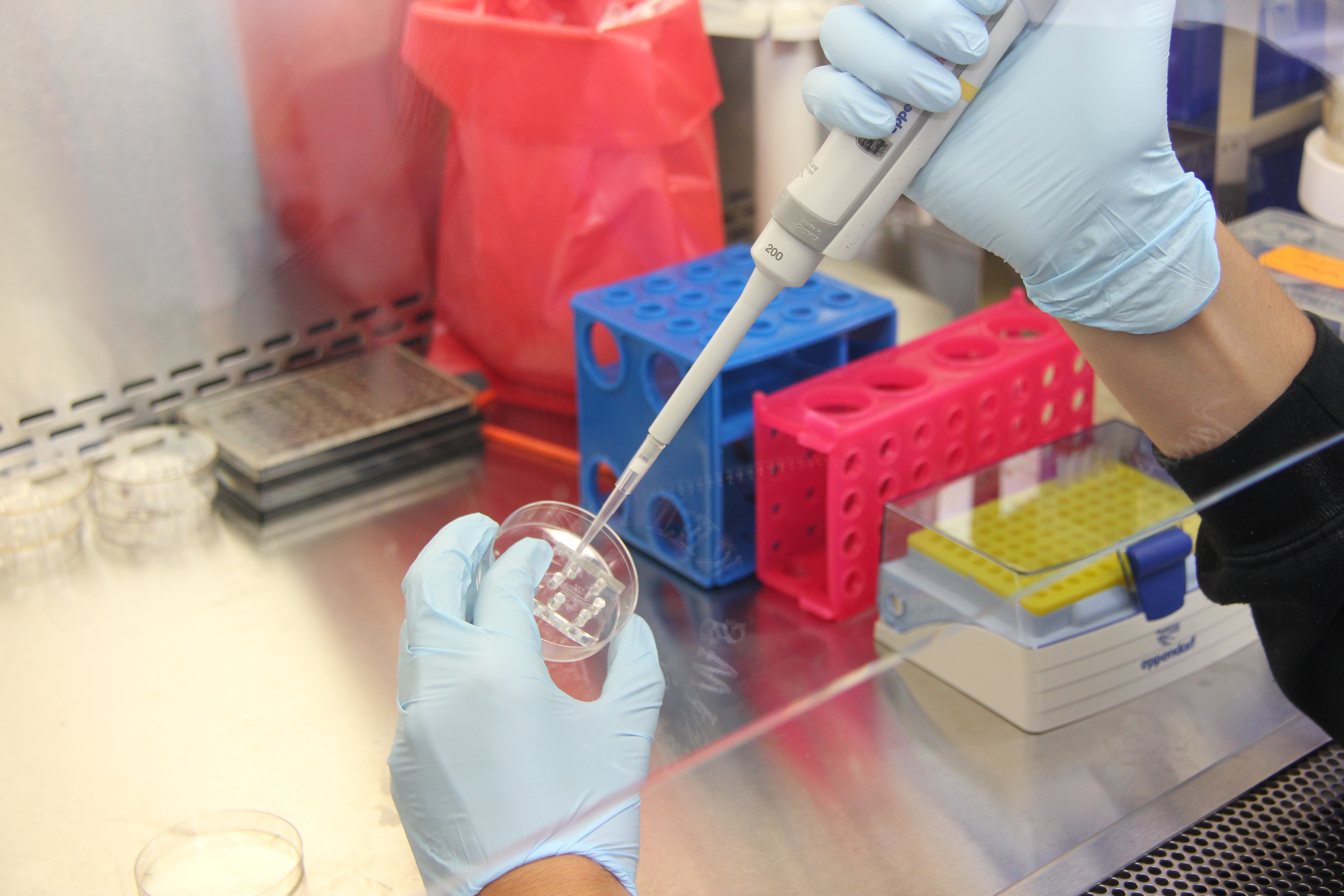 Science and metabolism